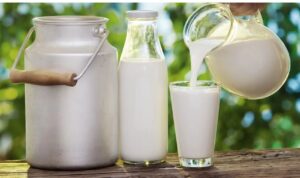 adulterated milk identify 