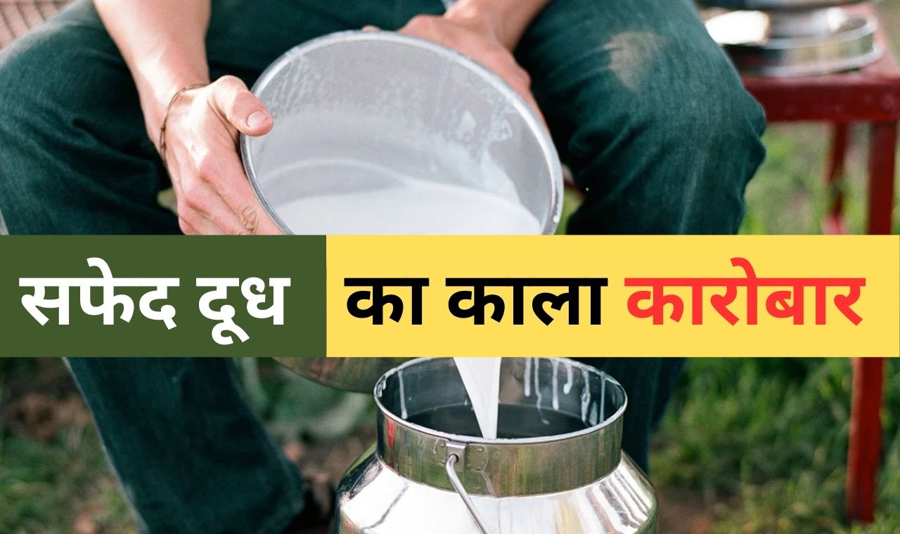 adulterated milk identify