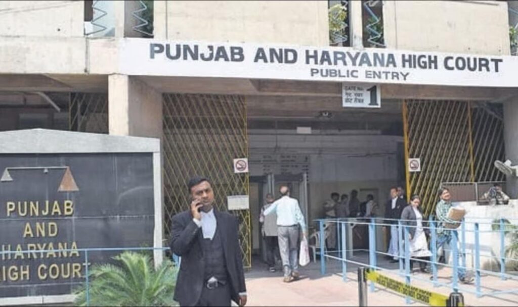 punjab haryana high court
